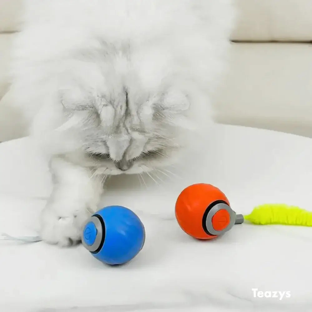 Whisker Whirl Cat Toy