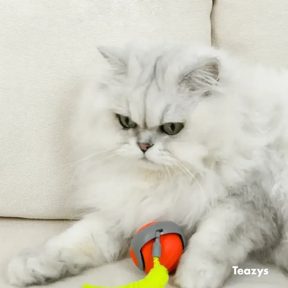 Whisker Whirl Cat Toy