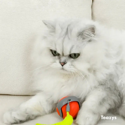 Whisker Whirl Cat Toy